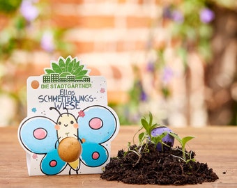 Blumenmurmeln "Ellas Duftgarten": 1 große handgerollte Samenbombe mit Wildblumen-Saatgut | Geschenk für Kinder | Mitgebsel Kindergeburtstag