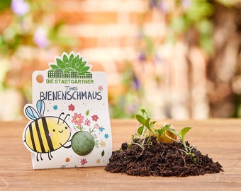 1er Blumenmurmeln I Timos Wilde Blumenmurmel I Mitgebsel Kindergeburtstag I Abschiedsgeschenk Kita