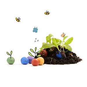 May include: Colorful, round seed starter pods with green sprouts growing out of them. The pods are surrounded by dark brown soil and small green plants. There are also drawings of butterflies and bees in the background.