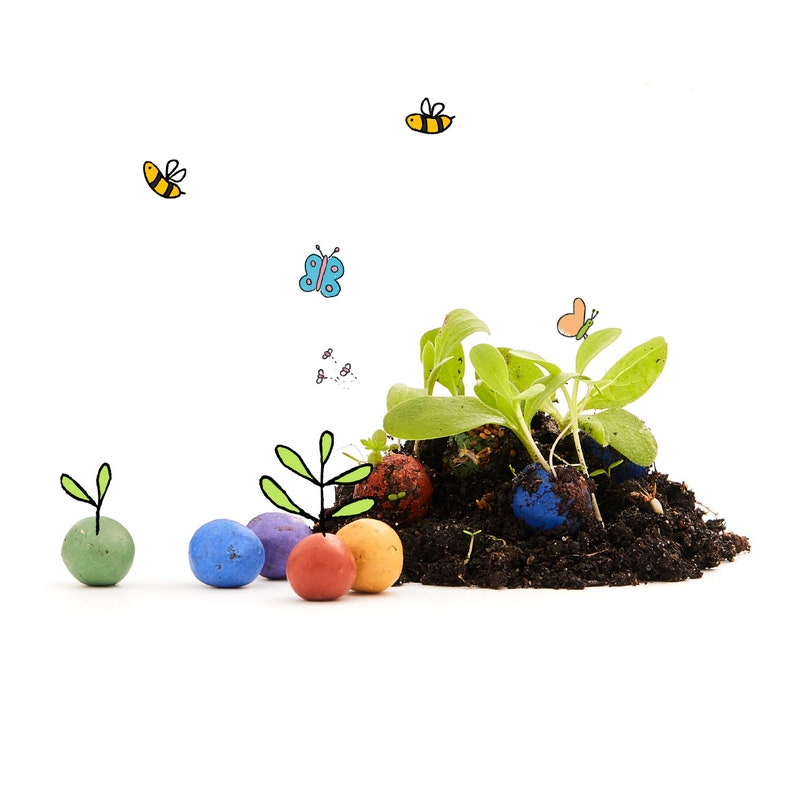 May include: Colorful, round seed starter pods with green sprouts growing out of them. The pods are surrounded by dark brown soil and small green plants. There are also drawings of butterflies and bees in the background.