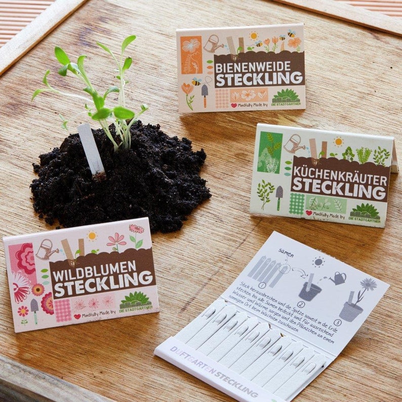 Seedling Set All 4 types of seedlings for a discount price 40 plantable cardboard sticks for your pots, balcony or garden afbeelding 2
