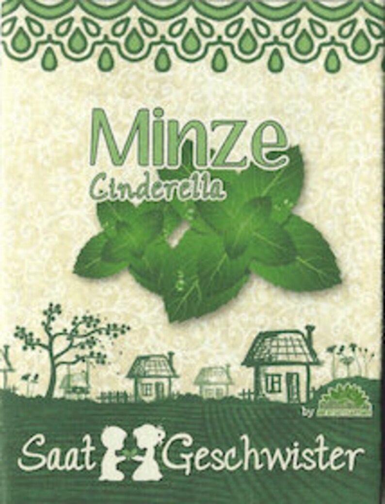 Minze CinderellaSaatgut Frische Minze selber anbauen Samen reichen für 80 Pflanzen image 2