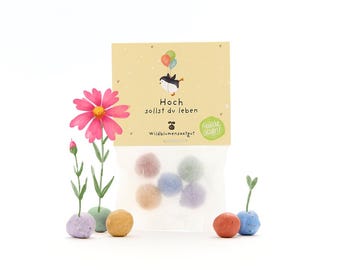 5 colorful flower marbles in a sachet with wildflower seeds | Sustainable gift idea and great birthday surprise