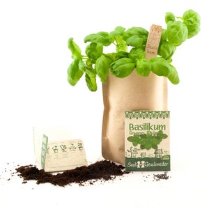 Mini Garden Basil Complete growing kit for delicate basil Sieved soil, best seeds and detailed German instructions image 4