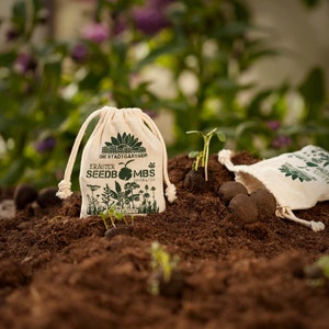 Seed Bombs Wild Herbs Mindfully made flower bombs from the City Gardeners 8 seed balls in reusable cotton bag image 4