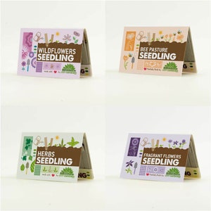 Seedling Set All 4 types of seedlings for a discount price 40 plantable cardboard sticks for your pots, balcony or garden afbeelding 4