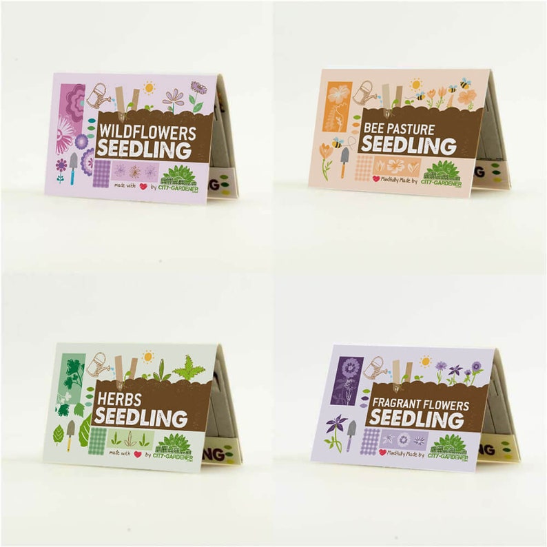 Seedling Set All 4 types of seedlings for a discount price 40 plantable cardboard sticks for your pots, balcony or garden afbeelding 4