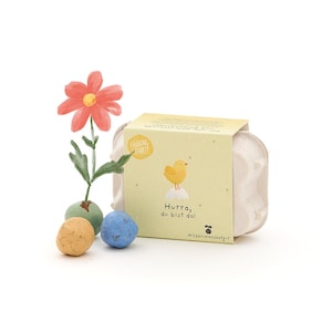 6 bunte Saatkugeln mit Wildblumen-Saatgut im Mini-Eierkarton | "Hurra, du bist da" – Nachhaltiges Babygeschenk zur Geburt