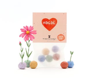 5 kleurrijke bloemknikkers in een zakje met wilde bloemenzaadjes | "HDGDL" hart voor beste vriendin, Valentijnsdag & liefdesberichten