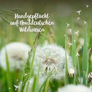 May include: Close-up of a white dandelion with seeds blowing in the wind. The dandelion is in a field of green grass. The text "Handgepfl&uuml;ckt auf Norddeutschen Wildwiesen" is written in white on a green background.