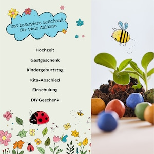 Blumenmurmeln Ellas Duftgarten: 1 große handgerollte Samenbombe mit Wildblumen-Saatgut Geschenk für Kinder Mitgebsel Kindergeburtstag Bild 6