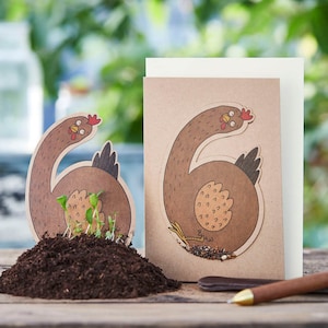 Geburtstagsgrußkarte 6. Geburtstag I Geburtstagskarte mit Blumensamen I Für Jungen und Mädchen