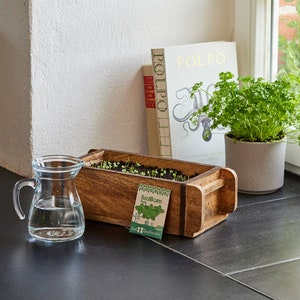 Può includere: Un vaso di legno con una piccola pianta di basilico che cresce al suo interno. Il vaso ha un'etichetta che dice "Basilikum" e "Saat & Gewächshaus".
