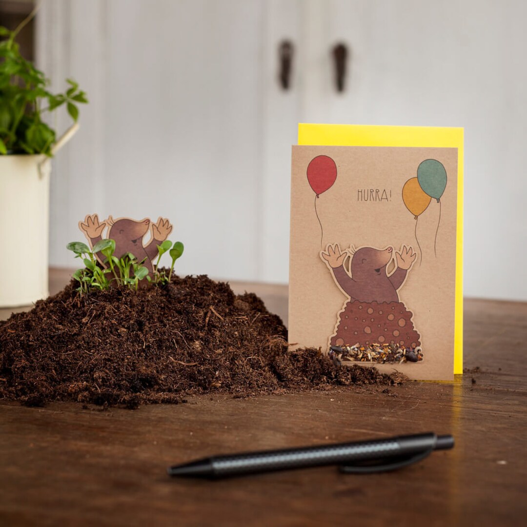 Die Stadtgärtner Saatpapier-Grußkarte Mit Kleeblatt-Motiv – DIN A6, Mit Wildblumensamen & Umschlag