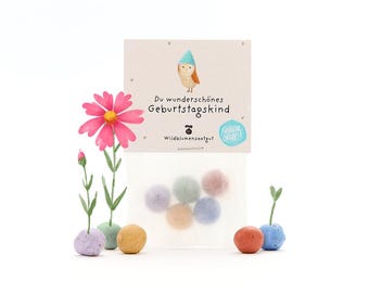 5 kleurrijke bloemknikkers in een zakje met wilde bloemenzaadjes | Duurzaam cadeau-idee en een geweldige verjaardagsverrassing