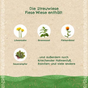 Puede incluir: Un gr&aacute;fico beige con texto en alem&aacute;n e ilustraciones de plantas, incluyendo diente de le&oacute;n, ortiga y c&aacute;rtamo. El texto dice "Die Streuwiese Fiese Wiese enth&auml;lt:" y menciona otras plantas.