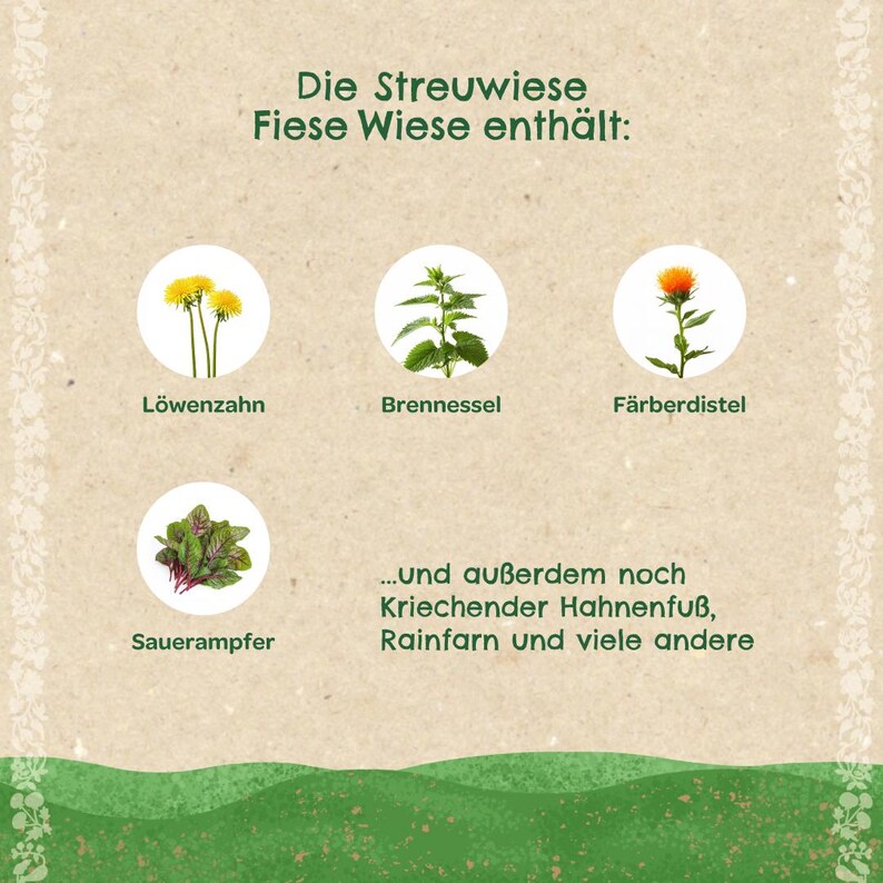Puede incluir: Un gr&aacute;fico beige con texto en alem&aacute;n e ilustraciones de plantas, incluyendo diente de le&oacute;n, ortiga y c&aacute;rtamo. El texto dice "Die Streuwiese Fiese Wiese enth&auml;lt:" y menciona otras plantas.