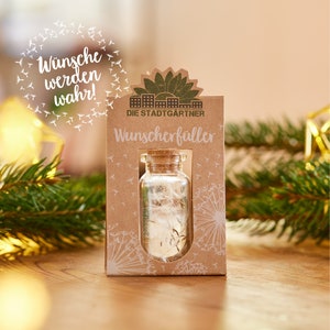 Wish Granter | Dandelion Parasols in a Glass for Giving Good Wishes | Ideal Gift Idea for Birthdays, Weddings, Mother's Day