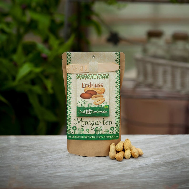 Mini Garden Peanuts Complete growing kit for crisp monkey nuts Contains sieved soil, organic seeds and detailed German instructions image 1