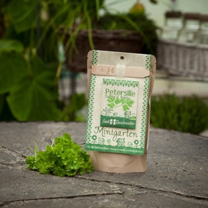 Mini Garden Prezzemolo biologico | Kit completo per la coltivazione del prezzemolo piccante | Terreno setacciato, semi migliori e istruzioni dettagliate