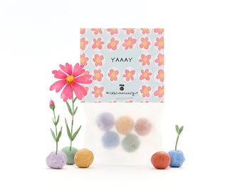 5 biglie di fiori colorati in un sacchetto con semi di fiori selvatici | Idea regalo sostenibile per compleanni, souvenir e bomboniere