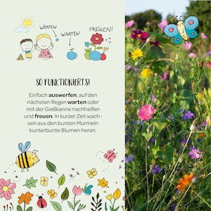 May include: A colorful illustration of a garden with flowers, a bee, a ladybug, and a butterfly. The text "SO FUNKTIONIERT'S!" is written in black at the top of the image. The text below reads "Einfach auswerfen, auf den n&auml;chsten Regen warten oder mit der Gie&szlig;kanne nachhelfen und freuen. In kurzer Zeit wachsen aus den bunten Murmeln kunterbunte Blumen heran."
