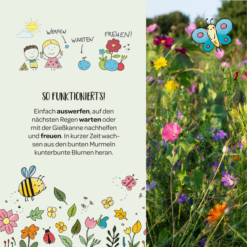 May include: A colorful illustration of a garden with flowers, a bee, a ladybug, and a butterfly. The text "SO FUNKTIONIERT'S!" is written in black at the top of the image. The text below reads "Einfach auswerfen, auf den n&auml;chsten Regen warten oder mit der Gie&szlig;kanne nachhelfen und freuen. In kurzer Zeit wachsen aus den bunten Murmeln kunterbunte Blumen heran."
