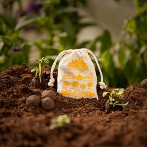 Seed Bombs Sunflowers Mindfully made flower bombs from the City Gardeners 8 seed balls in reusable cotton bag image 1