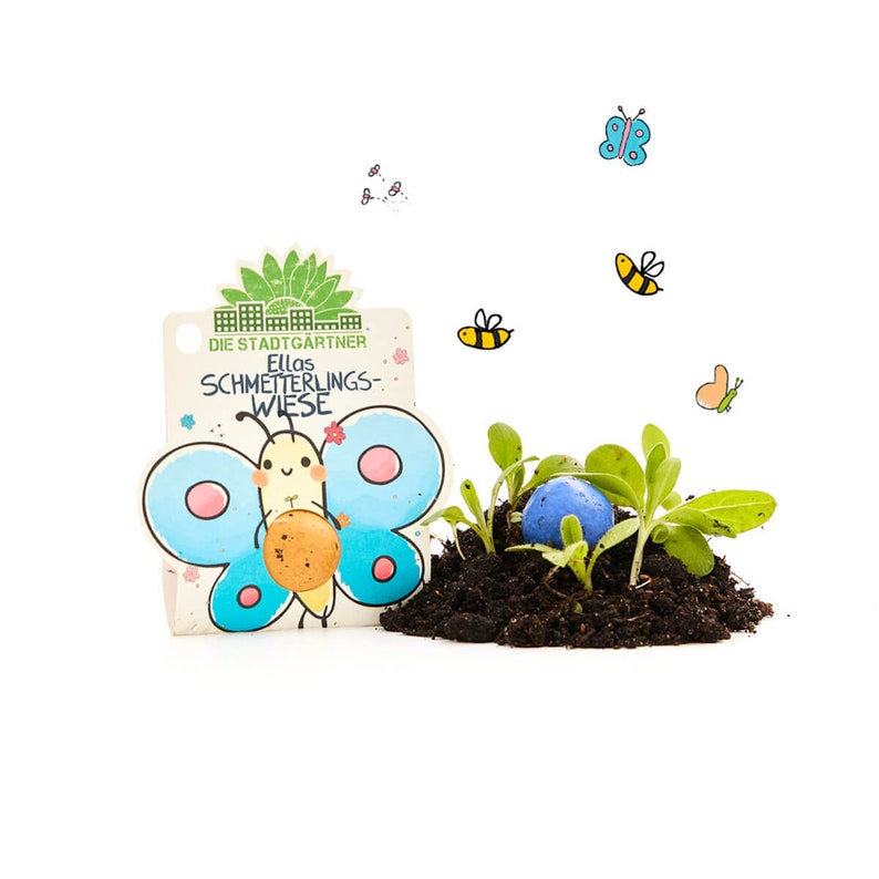 Blumenmurmeln Ellas Duftgarten: 1 große handgerollte Samenbombe mit Wildblumen-Saatgut Geschenk für Kinder Mitgebsel Kindergeburtstag image 2