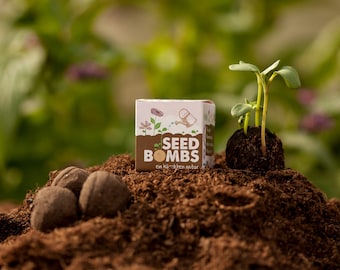 Seedbomb „Wildblumen“ I 1 handgemachte Samenbombe | Saatbombe mit 25 Arten Blumensamen