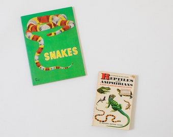 80s illustrated books KIDS vintage set of two Snake and reptiles SCHOLASTIC BOOKS Vintage 60s 70s Boys Girls lizard snake Nature vintage childrens books