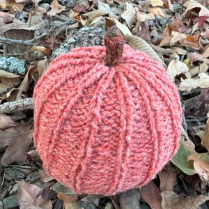 May include: A round, hand-knitted pumpkin crafted from textured, coral-pink yarn. The pumpkin features prominent vertical ribbed ridges and a short, braided brown stem at the top, mimicking the appearance of a natural gourd.