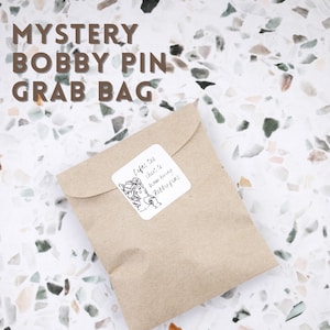 May include: A brown paper bag with a white sticker that says "Life's the shit & I'm being bobby fine". The bag is on a white and gray speckled surface. The text "MYSTERY BOBBY PIN GRAB BAG" is written in brown letters at the top of the image.