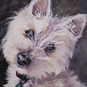 West Highland White Terrier Dog Print
