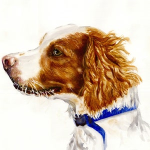 Brittany Spaniel Dog Print