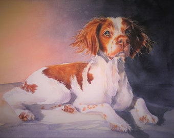 Brittany Spaniel Original Hunting Decortive Realistic Classic Colorful Inspiring Artistic Canine Portrait Style Home Office Bird Dog Print