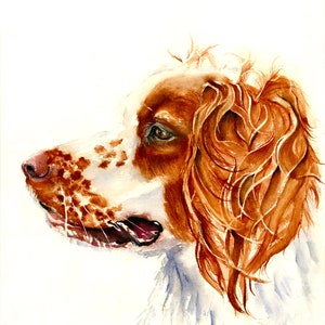 Brittany Spaniel Dog Print