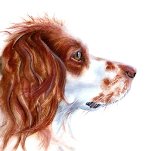 Brittany Spaniel Dog Print