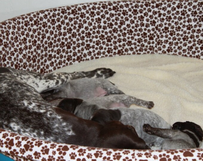 Whelping Box Cover for Large Wading Pool 2 Pack pool Not Etsy