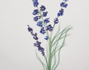 Lavender, original watercolour painting, A5 Made to order.