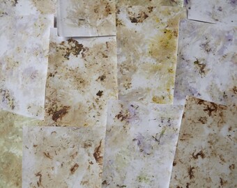 Eco, naturally printed papers, set of 12 mini papers.  Floral Papers. Naturally transfer dyed.