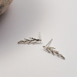 Juniper earrings in silver, Botanical jewelry image 4