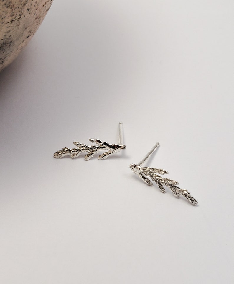 Juniper earrings in silver, Botanical jewelry image 4