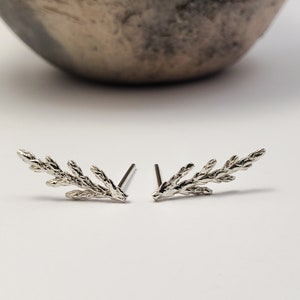 Juniper earrings in silver, Botanical jewelry image 1
