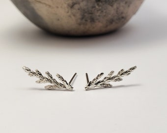 Juniper earrings in silver, Botanical jewelry