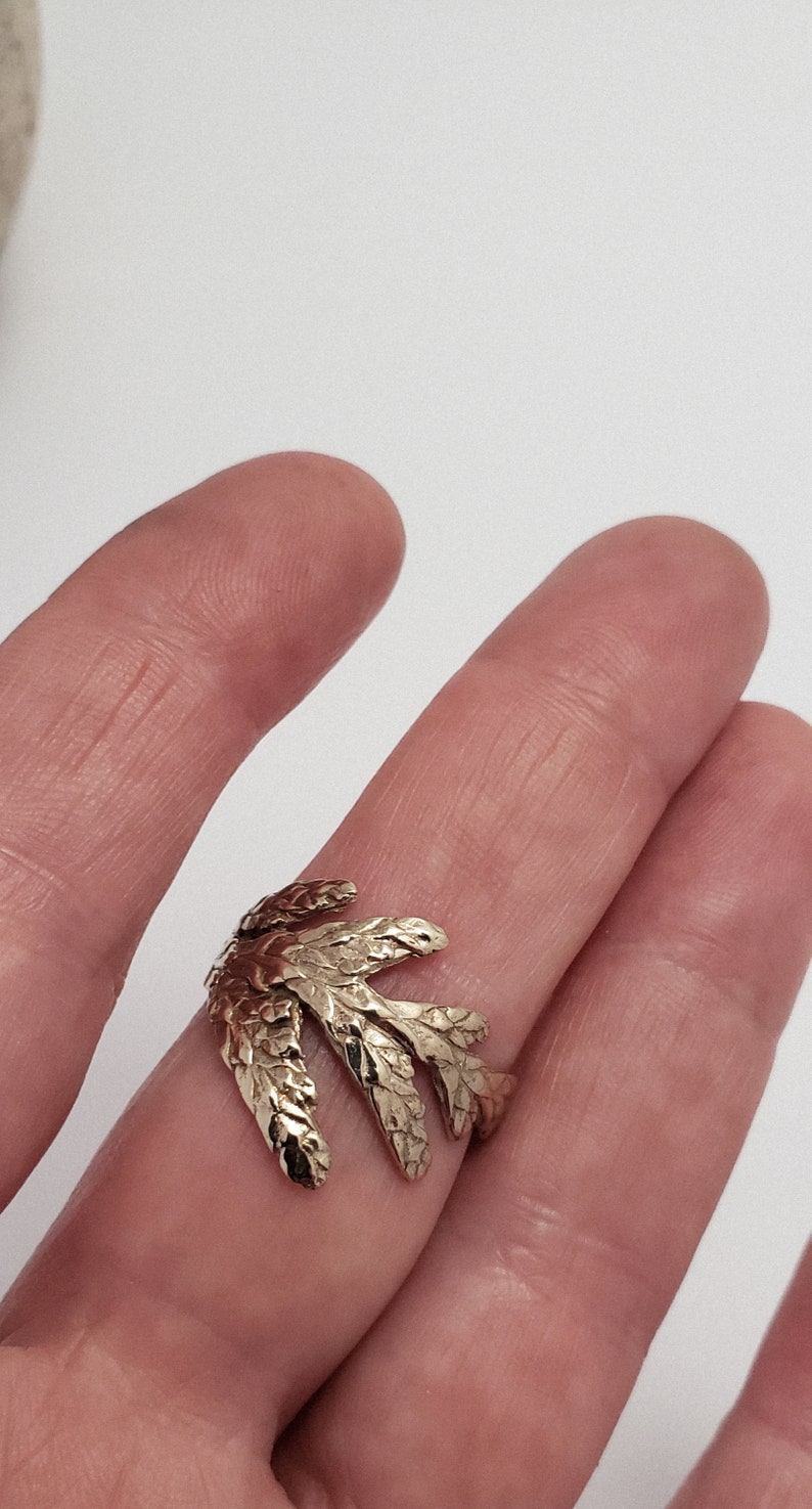 Cedar branch ring in bronze image 5