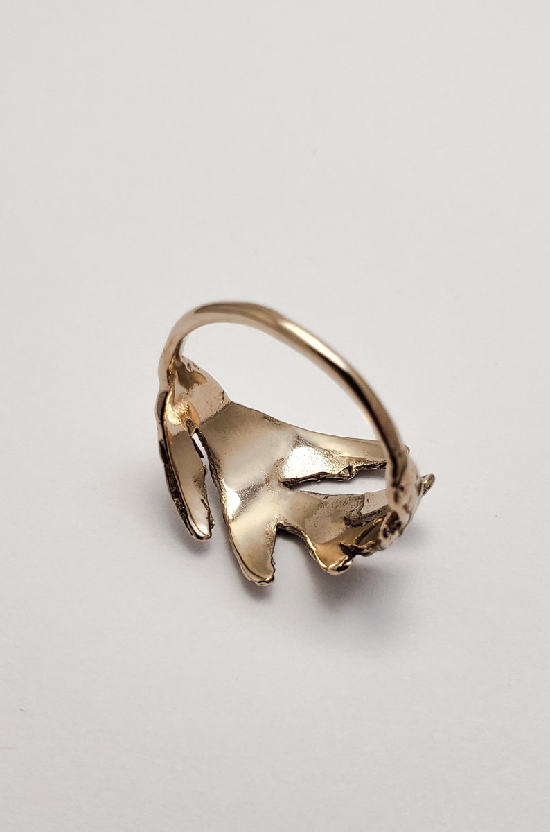 Cedar branch ring in bronze image 3