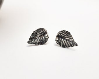 Silver leaf studs, Elm leaves, botanical earrings