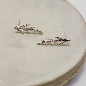Juniper earrings in silver, Botanical jewelry image 3