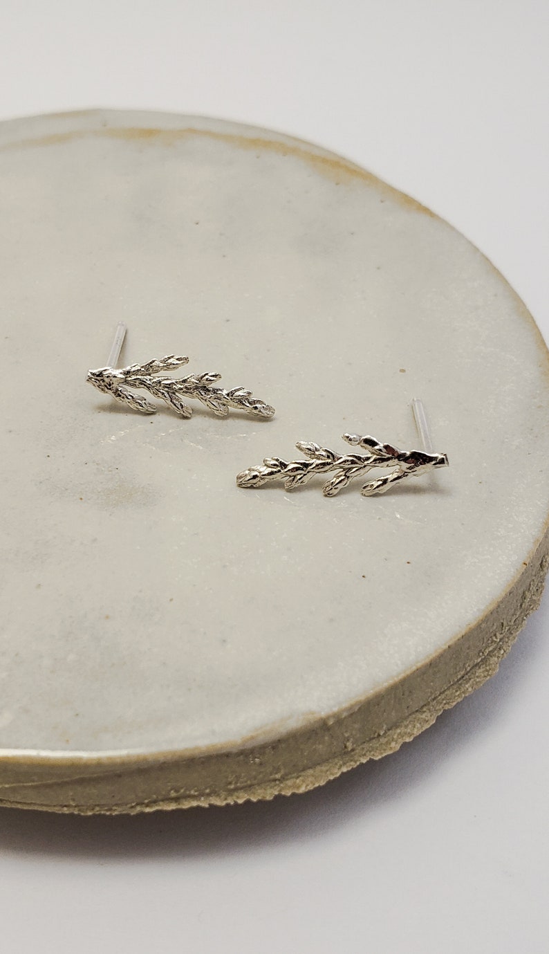 Juniper earrings in silver, Botanical jewelry image 3